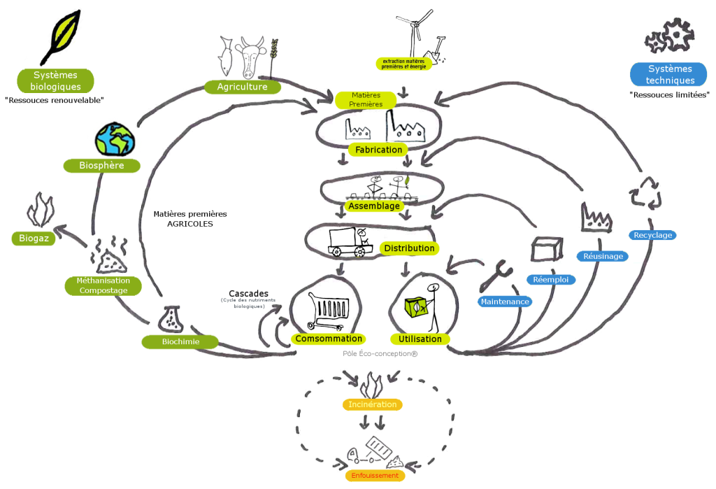 economie_circulaire_pole_eco-conception2