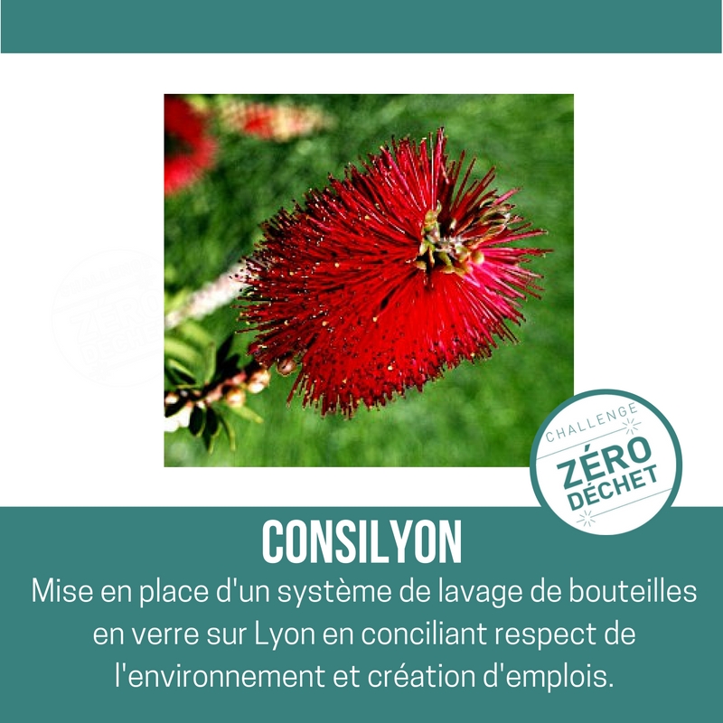 Consilyon