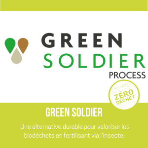 green soldier - visuel