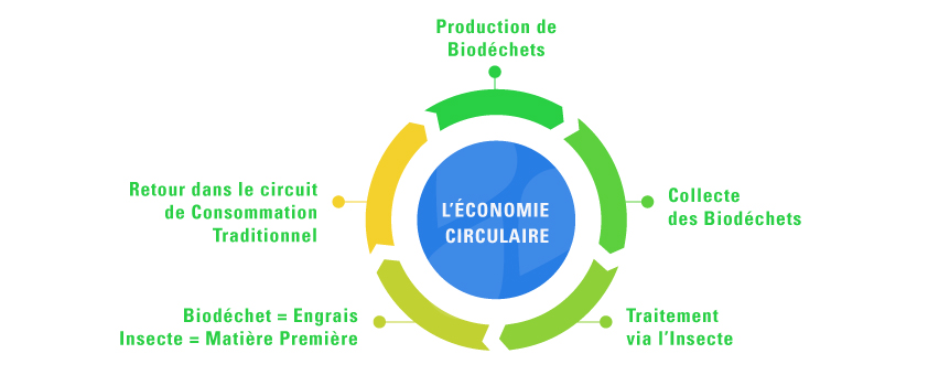 infographie-Gestion-des-biodechets (1)