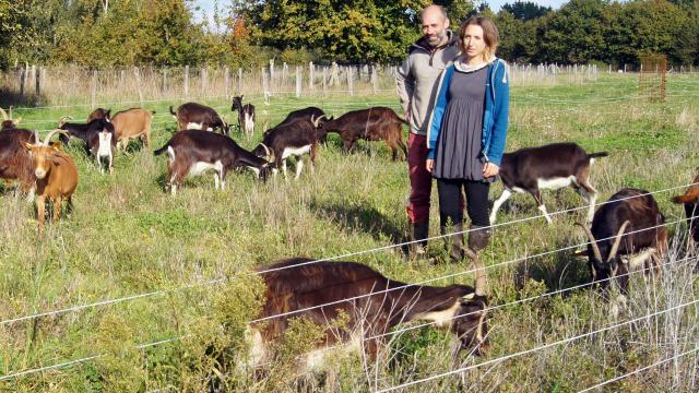 ils-veulent-fabriquer-du-biogaz-avec-le-lait-de-leur-fromagerie