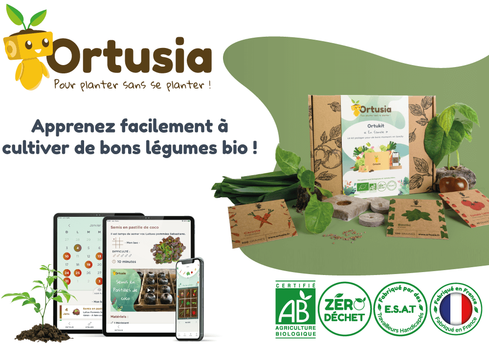 ortusia-intro-pitch