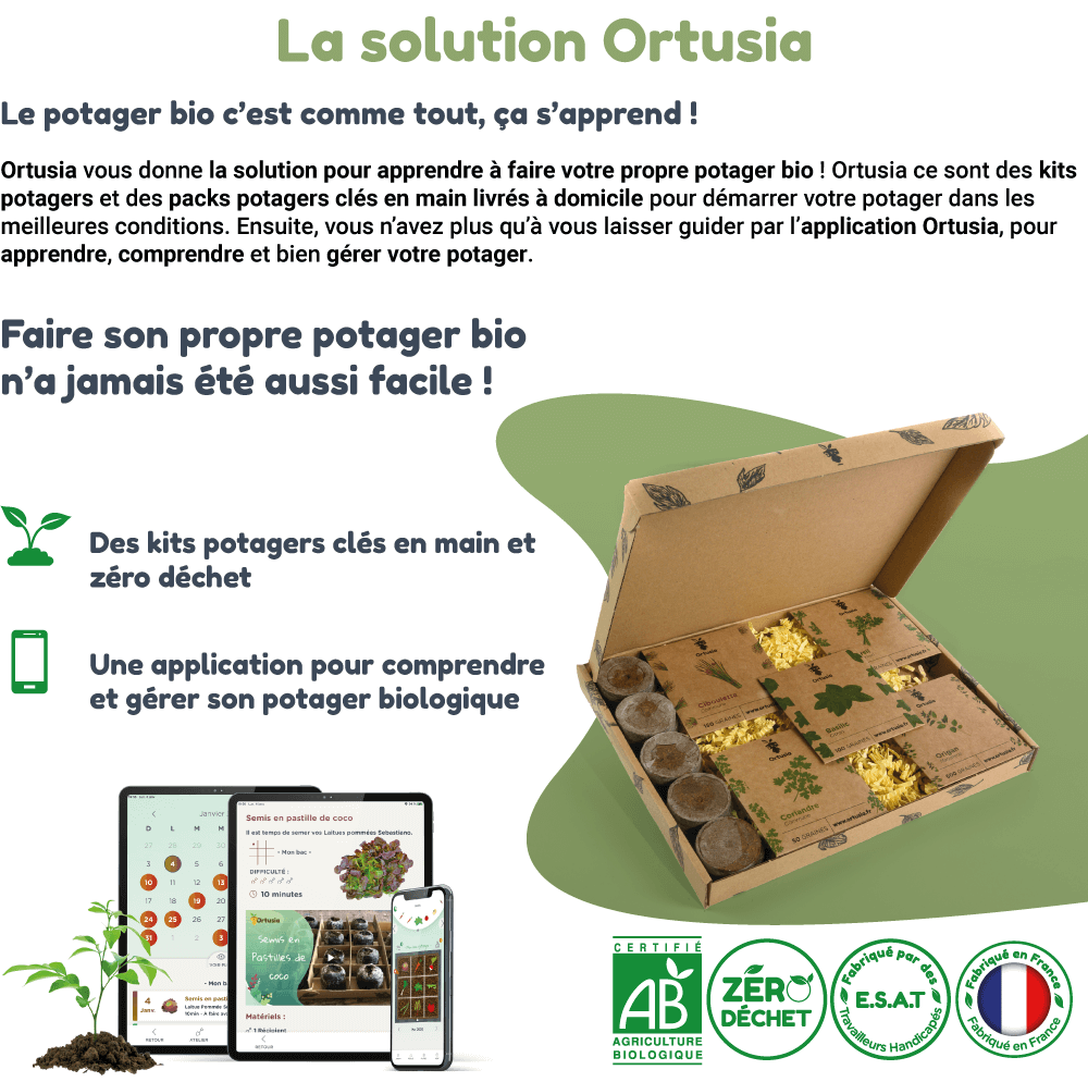 ortusia-la-solution